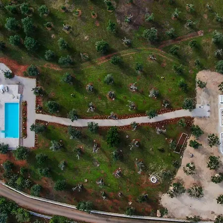 With Pool Among Olive Trees In Puglia Diso