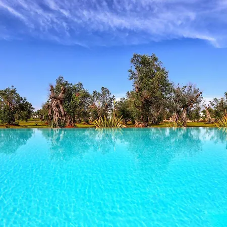 With Pool Among Olive Trees In Puglia Сasa de vacaciones Diso