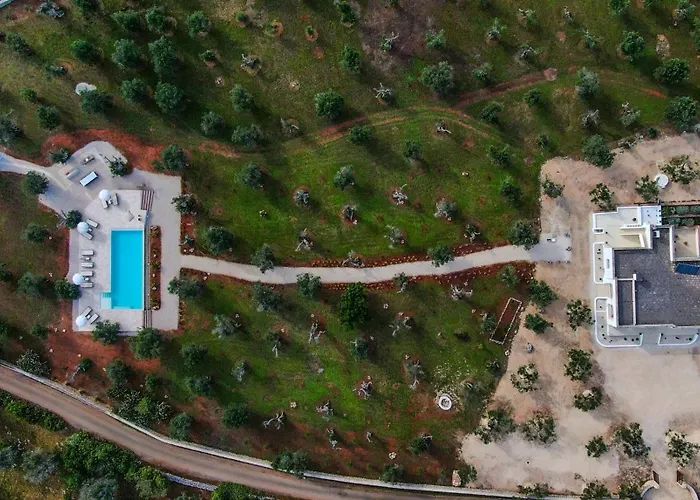 With Pool Among Olive Trees In Puglia Diso